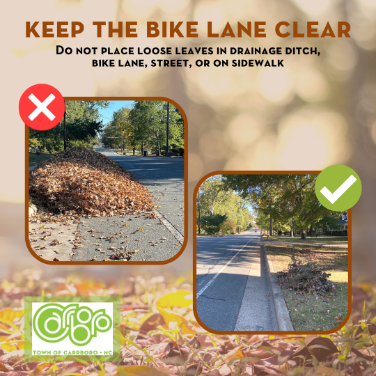 Loose Leaves Infographic 