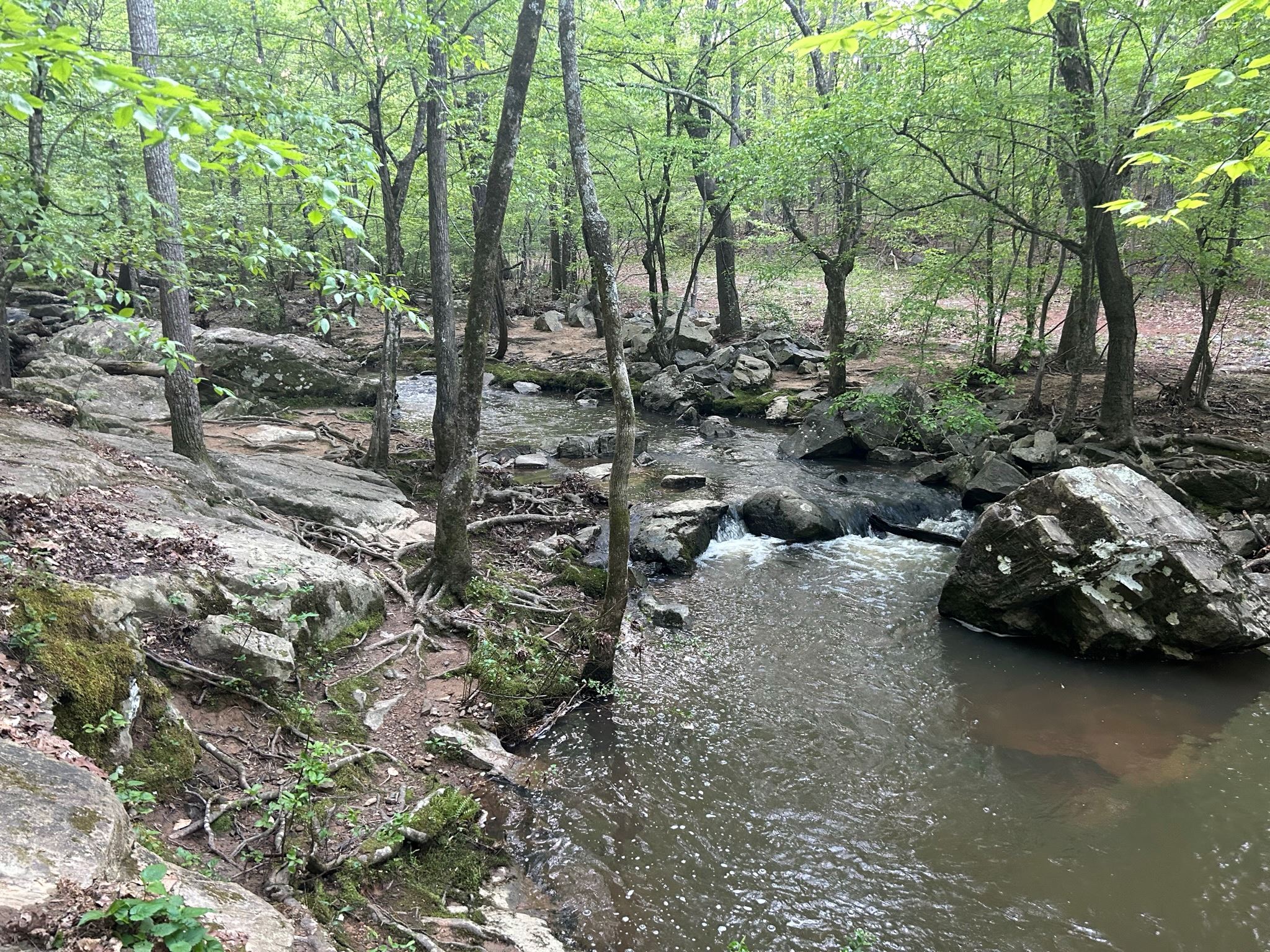 Bolin Creek Greenway