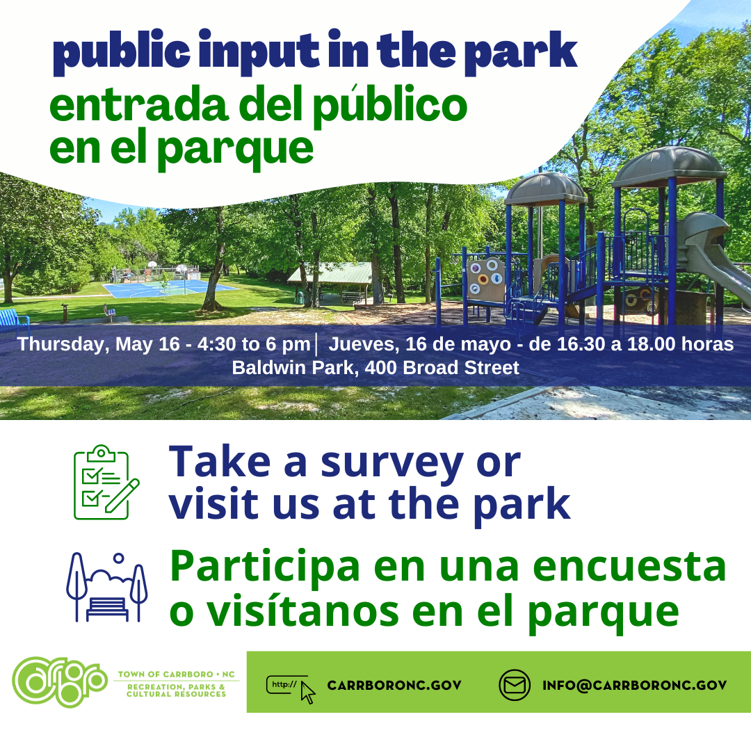 public input in the park