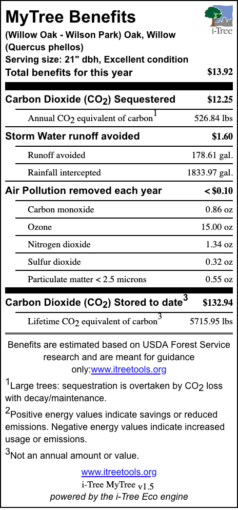 Willow Oak Wilson Park